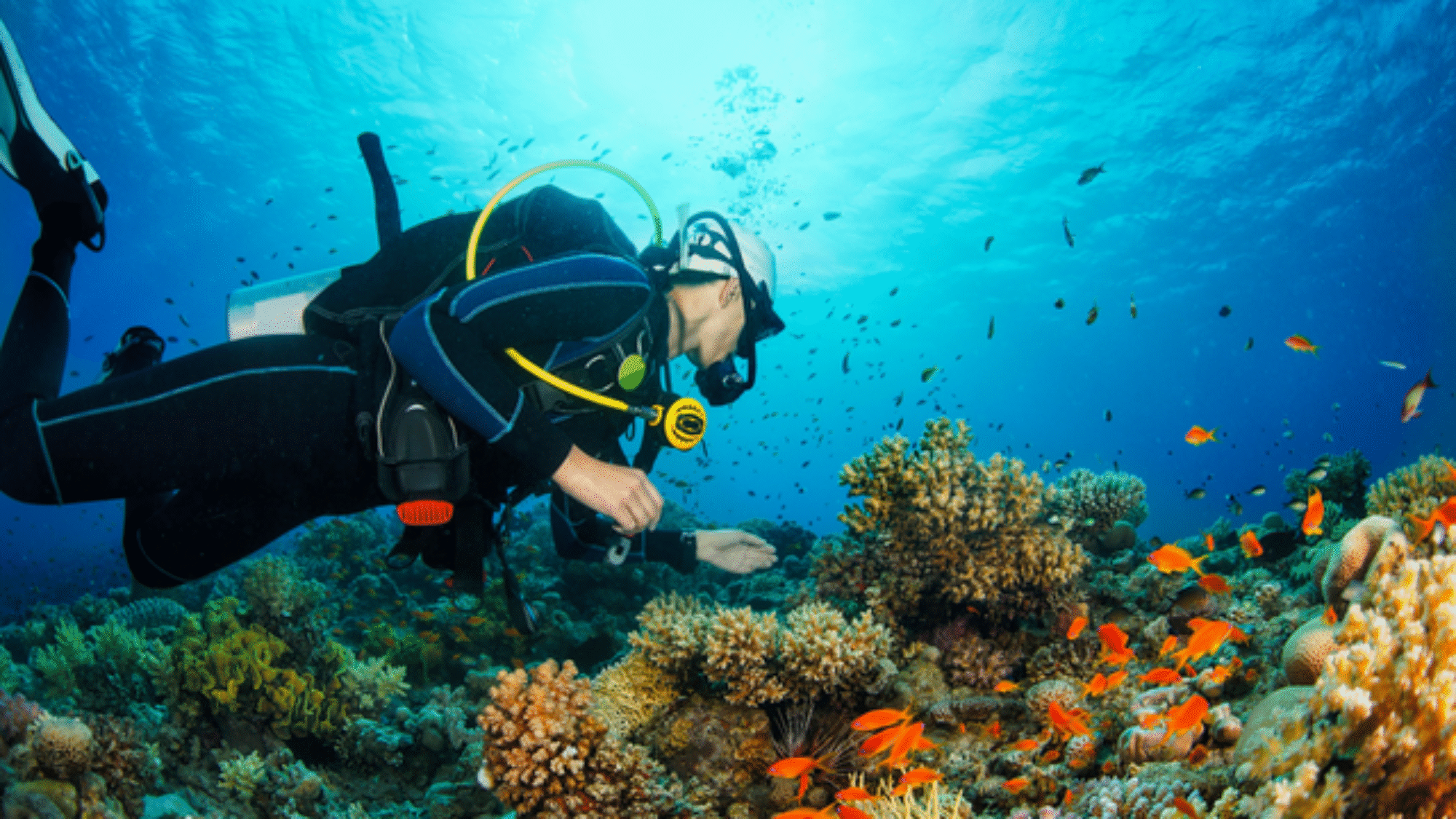 Top 5 des activités nautiques à découvrir à l'île Maurice